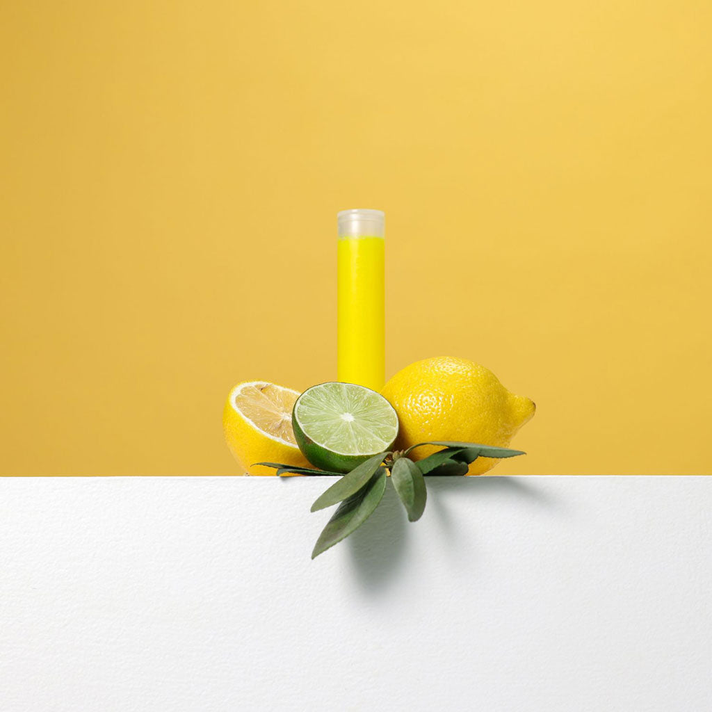 Citrinų kvapo filtras5